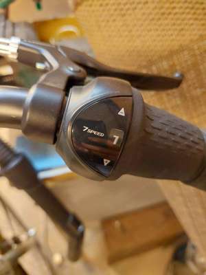 E-Dreirad neuwertig Highland grey Bild 4