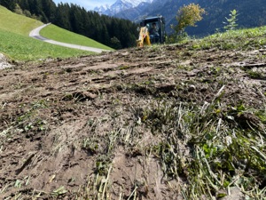 Bagger&Gartengestaltung in Zillertal und tirol Bild 7