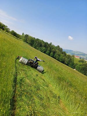 Landwirtschaft Pferdeheu 