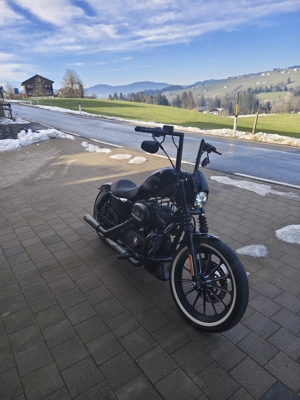 sporster Iron 883 komplett Umbau  Bild 4