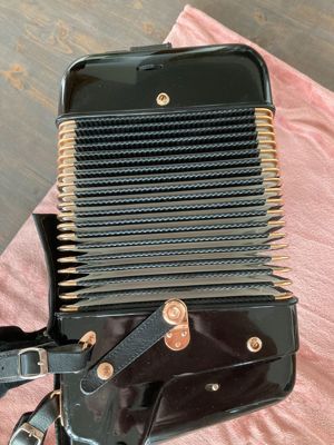 Hohner Akkordeon Gola 5-chörig Cassotto B-Griff flach 1963 Koffer Bild 6