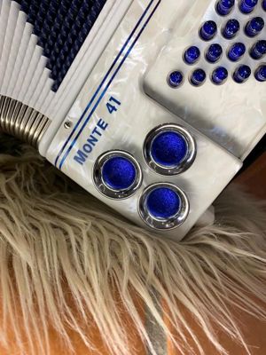 Weltmeister Monte 41 Colour Line Helikon WeißBlau Akkordeon Bild 5