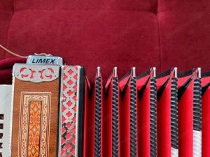 Strasser steirische Harmonika GCFB Bild 3