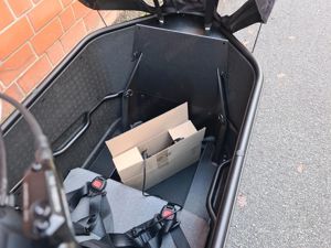 Riese & Müller Packster 70 Family E-Lastenrad Bild 9