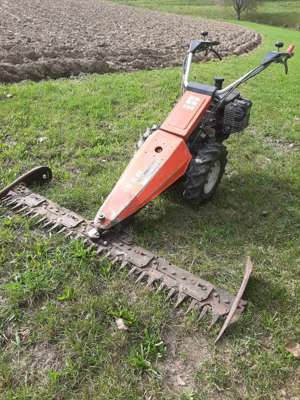 Reform 206 Motormäher Bild 6