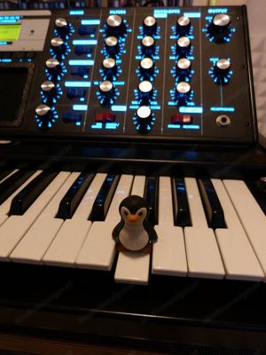 Moog Voyager Electric Blue Edition Bild 7