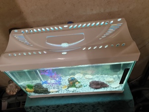 Aquarium 