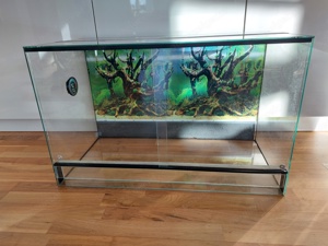 Terrarium L80 H50 B40 alles inklusive!