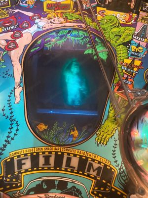 Flipper Creature From The Black Lagoon Bild 2