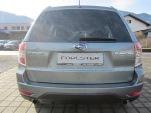 Subaru Forester Bild 6