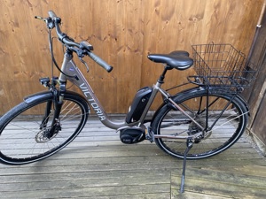 eBike Marke: Viktoria Bild 4