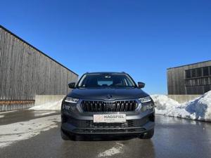 Skoda Karoq Bild 2