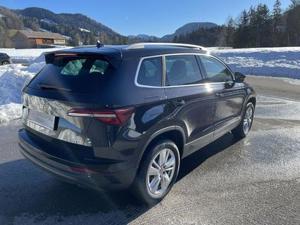 Skoda Karoq Bild 3