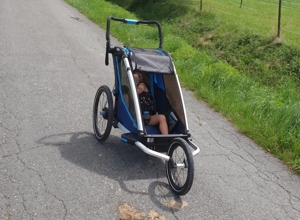 Thule Chariot Cross 1 Kinderanhänger   fast wie neu! Bild 5