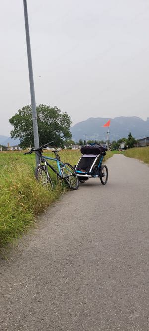 Thule Chariot Cross 1 Kinderanhänger   fast wie neu! Bild 3