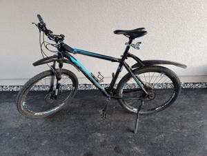 Mountainbike 21 Zoll 