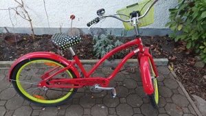 Citiy cruiser, Damen Fahrrad, Elektra