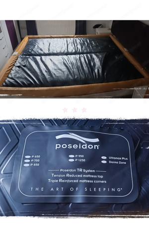 Poseidon Wasserbett