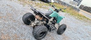 Suzuki LTZ 400 Quad Sportquad LOF Sonderedition Bild 8