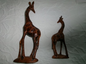 alte afrikanische Giraffen 