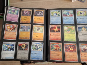 Pokémon Sammlung  Bild 5