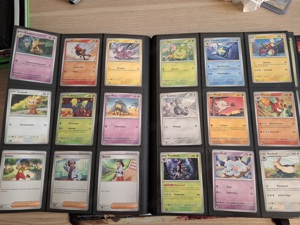 Pokémon Sammlung  Bild 3