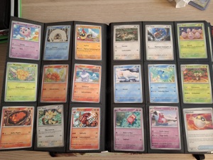 Pokémon Sammlung  Bild 4