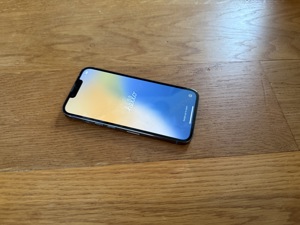 Apple iPhone 13 PRO - TOP Zustand!