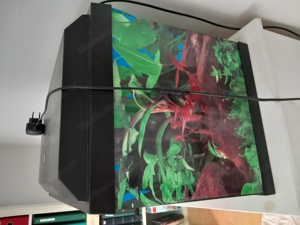 Aquarium " Juwel " 60 l, ACHTUNG neuer Preis!! Bild 2