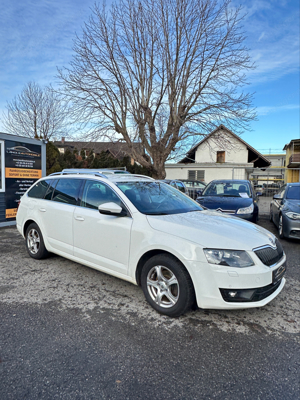 skoda octavia 4x4 Bild 5