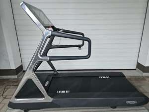 Technogym Personal Laufbahn