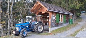Traktor Ford 3610 Allrad Bild 2