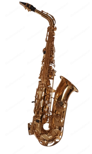 Verkaufe neuwertiges Altsaxophon