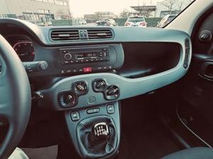 Fiat Panda Bild 7