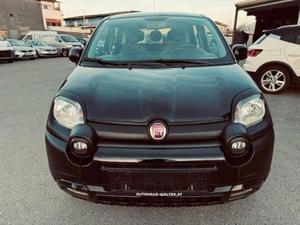 Fiat Panda Bild 2