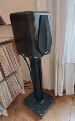 Sonus Faber Electa Amator III inkl Stands Bild 4