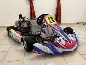 MS Kart mit Rübig Mega Motor 65PS