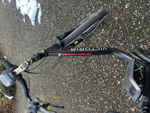 E-Bike "Victoria" Bild 4