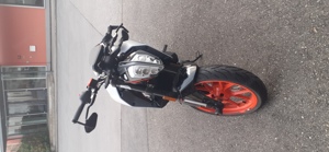 KTM 390 Duke Bild 3