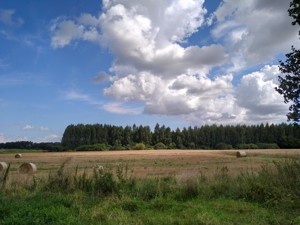 Urlaub in Masuren - Ferienhaus, Angelurlaub. Bild 10