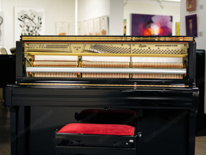 Klangvolles Boston Klavier UP-118 E PE , Designes bei Steinway & Sons. Lieferung frei Haus (*) Bild 5