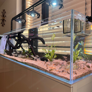 Aquarium Komplettset Sonderanfertigung mit TechnikBecken Bild 2