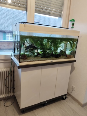 Aquarium mit Extras  Bild 2