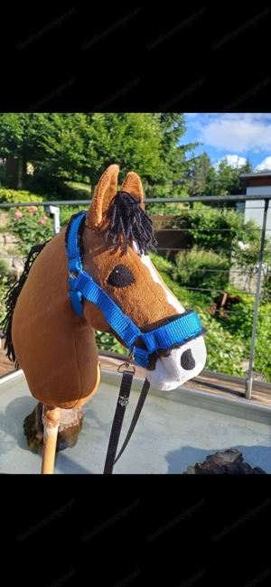 hobbyhorse zu verkaufen  Bild 4