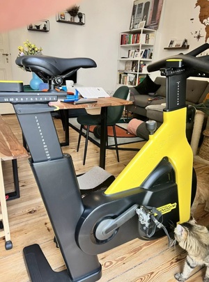 Technogym Bike Heimtrainer