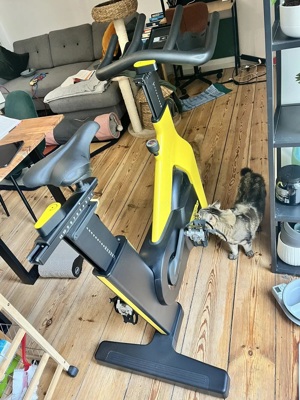 Technogym Bike Heimtrainer Bild 3