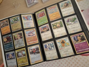 Pokemon Sammlung  Bild 3