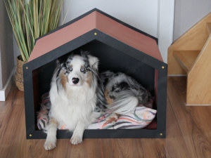 NEU Indoor Design Hunde Schlafplätze Bild 4