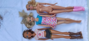 Barbie Puppen und Zubehör Bild 3