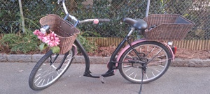 Damen Fahrrad  Bild 3